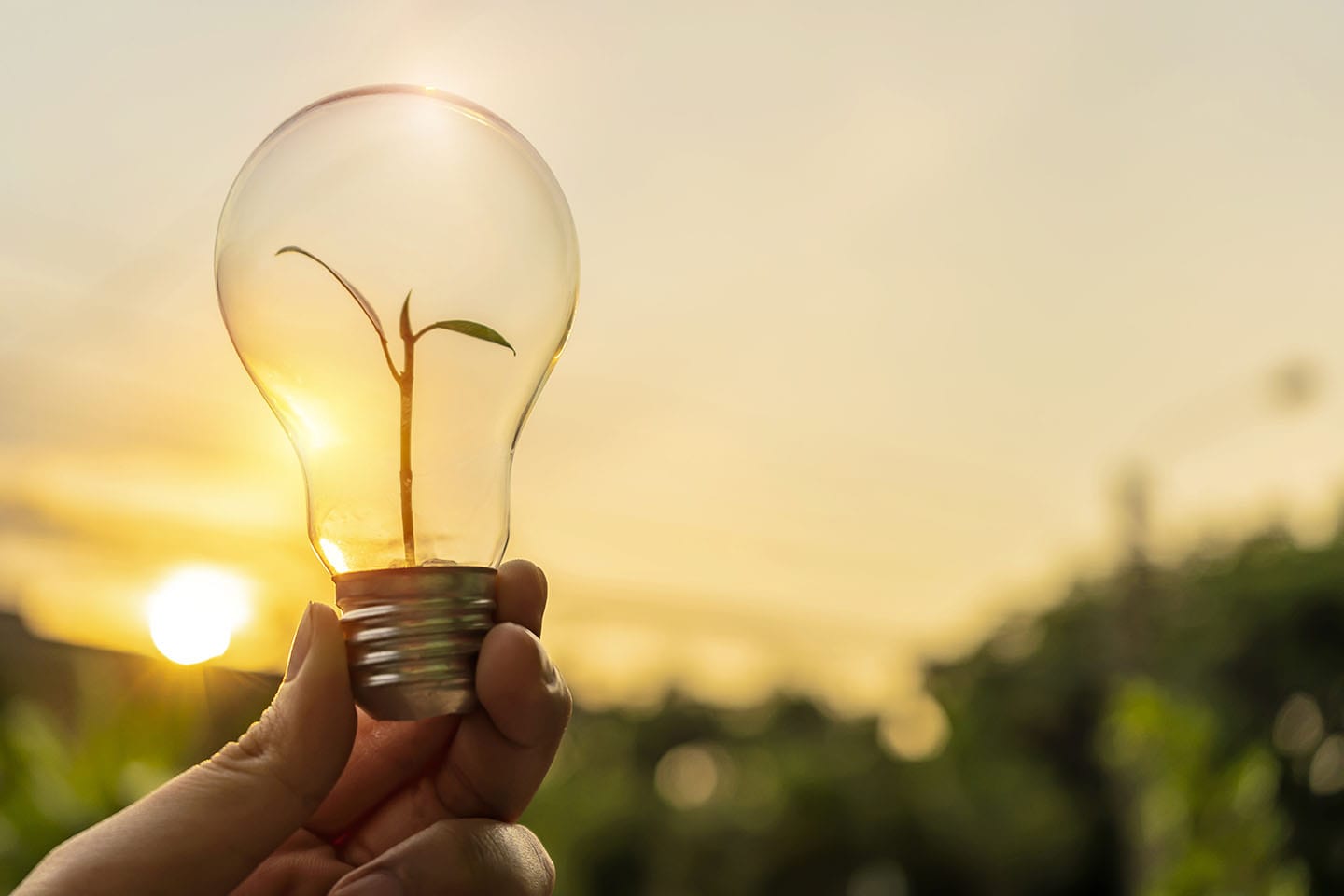 hand holding lightbulb in front of sun