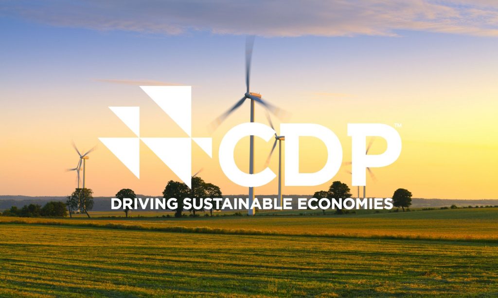 CDP driving sustainable economies